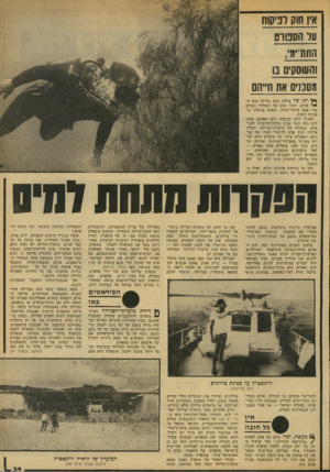 העולם הזה - גליון 2135 - 2 באוגוסט 1978 - עמוד 39 | אין חוק לפיקוח ער הספורט הוות־ימ׳, והעוסקים מ מסכנים את חייהם* * * ו תו של צוללן בעת צלילה בים ה••! אדום, חשף שוב את המחדל הגורם מדי פעם מיקרי־מוות, ומאות