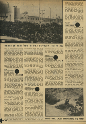 העולם הזה - גליון 2138 - 23 באוגוסט 1978 - עמוד 46 | בני־משקים ומתנדבים כאחד, וזד. עזר לי רבות לחזור ולתפקד כאדם אחרי שיחרורי. אבי שלח בשמי בקשת־חנינה לנשיא המדינה, מנהל בית־הסוהר הפגיש אותי עם חברי־כנסת וקצינים