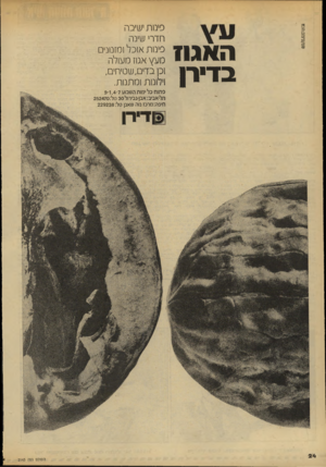העולם הזה - גליון 2143 - 27 בספטמבר 1978 - עמוד 24 | נ0ס/עיצוב:הכנו האגו? בדירן פימת ישיבה חדרי שינה פימת אוכל ומזנונים מ עץ אגוז מעולה 1כן בדים, שטיחים, וילונות ומתנות. פתוח כל ימות השבוע 7־ 1,4־9