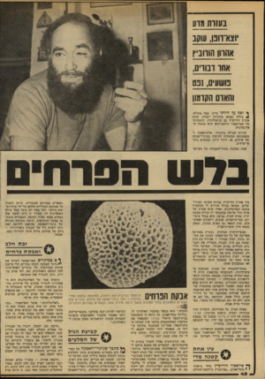 העולם הזה - גליון 2145 - 9 באוקטובר 1978 - עמוד 40 | בעדות מדע )} 1110 הורוביץ אחו וסוים, נושעים 031 , והאום הקדמון ך וסף עד היותו טייס, טפח מעולה, ^ צוללן ואספו מכוניות ישנות, עוסק אהרון הורוביץ גם בגיאולוגיה.
