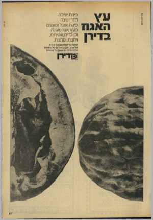 העולם הזה - גליון 2145 - 9 באוקטובר 1978 - עמוד 57 | שם/עיצוב:הכט האגוז בדירן פינות ישיבה חדרי שינה פינות אוכל ומזנונים מעץ אגוז מעולה 1כן בדים, שטיחים, ויל 1נו ת