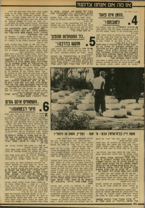 העולם הזה - גליון 2147 - 25 באוקטובר 1978 - עמוד 34 | אז מהאם <זנחנו צד קנו? (המשך מעמוד )21 .הוונו אינו ער לטובתנו!׳־ ך * מדיניות הישראלית, כפי שהיא התנהלה ב־11 י 1השנים האחרונות, נקבעה מייד אחרי מילחמת