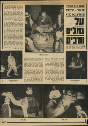 העולם הזה - גליון 2147 - 25 באוקטובר 1978 - עמוד 37 | אפשר כבו להחזיר את סיני הבדואים והגגלים באו לת־־א ציו, ואכל בשר־כבש עם פיתה ואורז, בידיים — סכו״ם לא מוגש גם בנגב, ב ארוחה שכזאת. פרס שוחח בשקט עם מאר חיו.