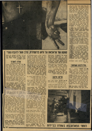 העולם הזה - גליון 2148 - 1 בנובמבר 1978 - עמוד 27 | היה בגדר שטות, ביגלל היעדר יעד ברור. היעדים התחלפו תדיר, ולא פעם התקבל הרושם כי ההתערבות עצמה מכתיבה את היעדים, ולא להיפך. הופעלה כאן שיטתו של אותו קלעי, אשר