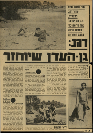העולם הזה - גליון 2149 - 9 בנובמבר 1978 - עמוד 48 | תוך שלוש שנים וחזו והב רמצו״ם, ונו עם ׳שואל סחו וחמה כוי !בנעם האחוונה ט-הונדו שיחקור אחמד זוכייד, בן שבט המזיינה, * לא איכפת אם יחזירו את סיני או לא יחזירו.