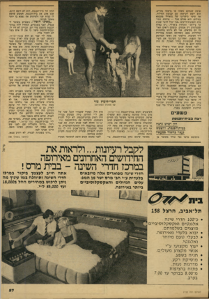 העולם הזה - גליון 2152 - 29 בנובמבר 1978 - עמוד 57 | אימת שנתקע משהו או מישהו בהרים, הוא יוצא לקראתו עם קבוצת החילוץ. אך עיקר כישרונו של צ׳ארלי מתבטא בצילום. הוא מצלם הכל — פרחים, חתי כות ותאונות־דרכים ״אני יכול