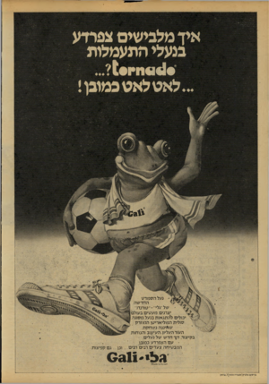 העולם הזה - גליון 2154 - 13 בדצמבר 1978 - עמוד 66 | איד מלבישים צפרדע בנעלי התעמלות ...לאט לאט כמובן! ׳ נעל הספורט החדשה של ״גלי״-״ טורנדו״ 1יצרנים מעטים בעולם) יכולים להתגאות בנעל מסוגה ן סולית הפוליאריטן