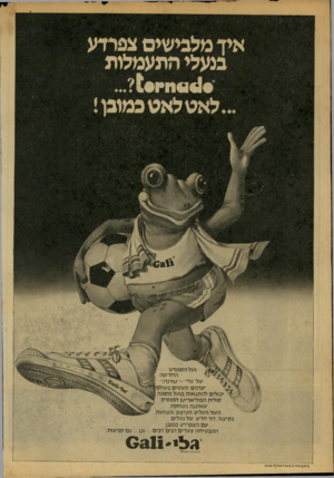 העולם הזה - גליון 2156 - 27 בדצמבר 1978 - עמוד 66 | נעל הספורט ה חד ש ה של׳׳גלי״-״ טורנדו׳ יצרנים מ ע טי ם בעולם! יכולים ל ה תג או ת בנעל מסוגה ן סולית הפוליאריטן המוזרק שאיננה נ ש חק ת, העור העליון, העיצוב