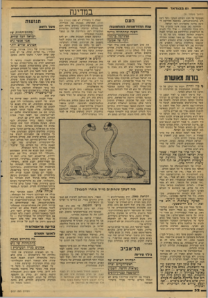 העולם הזה - גליון 2157 - 3 בינואר 1979 - עמוד 32 | נס ב בגד אד (המשך מעמוד )31 המקובל על דעת העולם הערבי (ועל דעת רוב מדינות־העולם) ,בתוספת הדרישה ל כינון מדינה פלסטינית לצד ישראל. ההחלטה 242 עצמה אינה מוזכרת