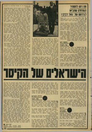 העולם הזה - גליון 2160 - 24 בינואר 1979 - עמוד 33 | מה ניסו והסתיו הגורמים שהניאו שו יגאו רביב? ^ אשר נחת המטוס ׳של נתיבי אוויר קמרון בנמלי^• התעופה של באנגי, בירת הקיסרות המרכז־אפריקאית, הרגשתי הקלה על