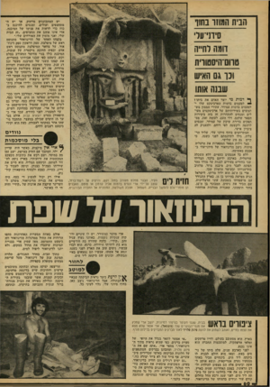 העולם הזה - גליון 2160 - 24 בינואר 1979 - עמוד 62 | הבית המוז ו נחון סיוני־עד דומה לחייה טהם־היסטווית ונו גם האיש שבנה אוחו ^ דמות מי יוצר האדם את ביתו ז יי לפעמים בדמות הארכיטקט שלו י־לפעמים בדמות עמידר. עתירי