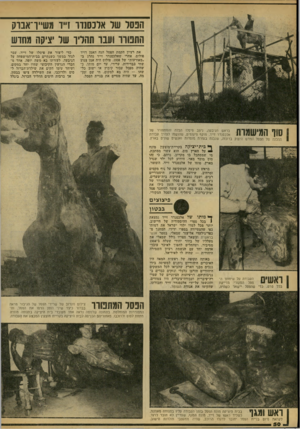 העולם הזה - גליון 2161 - 31 בינואר 1979 - עמוד 50 | הפסל של אלכסנדר זייד משייך אברק התפורר ועבר תהליך של יציקה מחדש את רעיון הקמת הפסל הגה האמן דויד פולוס, אחרי שאלכסנדר זייד נהרג ב- ״מאורעות״ של .1938 פולום היה