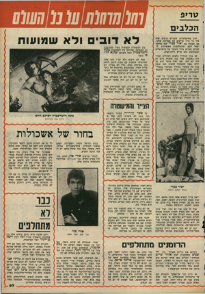 העולם הזה - גליון 2166 - 7 במרץ 1979 - עמוד 67 | ט רי פ חוץ מאינפלציות עוברים בימים אלד. עוד כל מיני טריפים על המדינה שלנו. אם תשאלו את יאיר צברי הוא בוודאי יספר לכם, ובהתלהבות האופיינית לו, שכיום הטריפ גדול