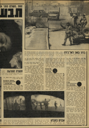 העולם הזה - גליון 2168 - 21 במרץ 1979 - עמוד 36 | בווו בואו לאדביוה השלט אומר במבואות העיר אל־בירה הגובלת ברמאללה, השלט אינו מכוון, כמובן, לחיילים הישראליים, אלה נתקלו במחסום של צמיגים בוערים. הס עצרו !ך* איש