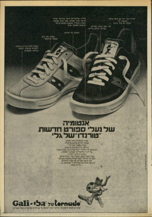 העולם הזה - גליון 2169 - 29 במרץ 1979 - עמוד 77 | רפידת גו מי רכה עם צי פוי כותנה הסופגת זעה ומקנה ג מי שו ת ורכות. עור זמש ונובוק מעולים ב שילוב גוונים מרהיב. סוליית פולי אורי טן חזקה בהזרקה ישירה גמישה בלתי