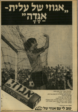 העולם הזה - גליון 2170 - 5 באפריל 1979 - עמוד 6 | ״אגוזי של עלית־אגדה ״כדורגלן השנה״ עודד מהנס אומר: ״אגוזי של עלית -אגדה ! ״ כדורגלן הגון לעולם לא יקה סמים ממריצים,אבל אם יש לו שכל הוא יאכל אגוזי או שניים