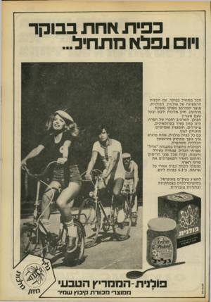 העולם הזה - גליון 2172 - 17 באפריל 1979 - עמוד 13 | בפית אחת בבוקר ויו נפלא מתחיל... הכל מ ת חיל בבוקר, עם הכפית הראשונה של פולנית. הפולנית, מוצר המורכב מפולן (אבקת פרחים) ,מזון -מלכו ת ודבש ובעל טעם מעניין.