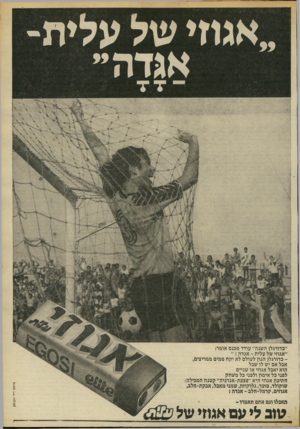 העולם הזה - גליון 2174 - 1 במאי 1979 - עמוד 7 | ״אגוזי של עלית־אגדה״ ״כדורגלן השנה״ עודד מכנם אומר: ״אגוזי של עלית -אגדה ! ״ ־ כדורגלן הגון לעולם לא יקה סמים ממריצים, אבל אם יש לו שכל הוא יאכל אגוזי או שניים