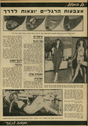 העולם הזה - גליון 2176 - 16 במאי 1979 - עמוד 68 | אצבעותהרגל ״ יוצאות לדרך סנדלי הקיץ. מ קו ם טוב באמצע לאצבעות, לשם הצצה. עקב דק וצר. הצבע השולט: סגול, אדו ם, ב חול ובז׳. ציפורים על הגוף אופנה אומנם, לעומת