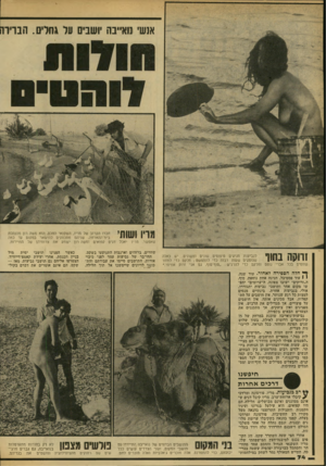 העולם הזה - גליון 2177 - 23 במאי 1979 - עמוד 74 | אנשי גוא״בה יושבים על גחדם. הברירה חברו הקרוב של מריו, השקנאי החכם, הוא משה רון מהנהלת בית־ההארחה. שניהם מתכוונים להישאר במקום עד כמה שאפשר. מריו אכל דגים