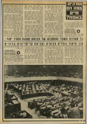 העולם הזה - גליון 2182 - 27 ביוני 1979 - עמוד 19 | !!^1111111 הסה הס באסה? (המשך מעמוד )17 אחת האהבות הגדולות של תמיר היא הנסיעה השקטה לחוץ־לארץ. הוא ייצג את הכנסת בוועידות בינלאומיות רבות — בין היתר בשטוקהולם,