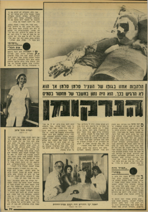 העולם הזה - גליון 2182 - 27 ביוני 1979 - עמוד 64 | אמו, הלה, משתדלת לא לגלות את המשבר, שעובר עליה. היא מגיעה יום יום לבית־החולים, כשהיא לבושה בקפידה, מטופחת ומאופרת. במשך הזמן זולגות הדמעות על האיפור והיא עוזבת