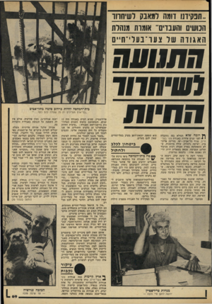 העולם הזה - גליון 2183 - 4 ביולי 1979 - עמוד 69 | ״ תפ קידנו דומה למאבק לשיחרור הנו שים והעבדיג ר אומדת מנהלת ה א גו ד ה של 1יער־בעלי־חייס חתו•1111. לש•!ונדוד חחיי 111 ^ רומה שלא תסולא בפז נתקבלה 1לפני שנים