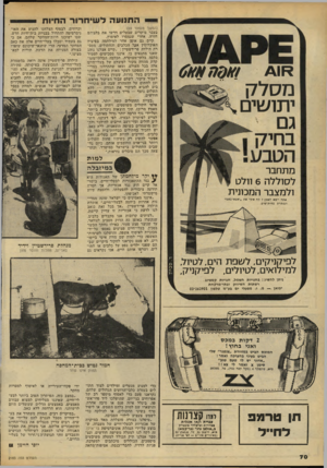 העולם הזה - גליון 2183 - 4 ביולי 1979 - עמוד 70 | התרועה לעניחדור החיות מסלק יתו שי (המשך מעמוד )69 בעבר מיקרים שבעלים דרשו את כלביהם חזרה, אחרי שנמסרו לאימוץ. קיים גם אופן אחר למילחמה בפיצוץ האוכלוסין אצל