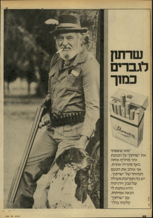 העולם הזה - גליון 2185 - 18 ביולי 1979 - עמוד 62 | שרתון לגברים כמ 1ך ״מאז ששמתי את ״שהתוך על הכוונת איני מחליף אותה באף סיגריה אחרת. אני אוהב את הטעם המיוחד של ״שרתוך. יש בה תערובת מעולה של טבק וירג׳יניה והיא