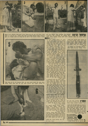 העולם הזה - גליון 2186 - 25 ביולי 1979 - עמוד 45 | שיחזור הרצח בתמונות אלה משחזרים כתבי ״העולם הזה״ את הרצח המזעזע, כפי שתיארוהו יוסף ועדי״ראייח. כרמלה פתחה את השער לחברתה, ויוסף נדחק פנימה• בתמונה נראית הסכין