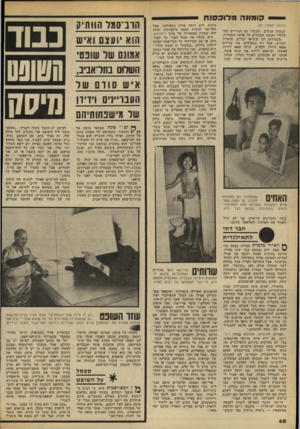 העולם הזה - גליון 2187 - 1 באוגוסט 1979 - עמוד 68 | קומונה מ לו כ סנ ת (המשך מעמוד )67 שבעים אנשים, ועכשיו גם הכיריים הת קלקלו ואנחנו ממשלים על ׳פלטה !חשמלית. ״מבטיחים לנו שיביאו דברים, שיסדרו דברים, אבל רק
