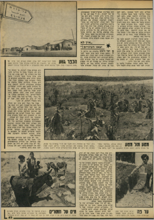 העולם הזה - גליון 2189 - 15 באוגוסט 1979 - עמוד 53 | מטרים, נוהג לדבר במקומו .״לאט לאט נגמרו החיים,״ אומר הגבר מלבוש ג׳ל־ביה מסורתית ולראשו כפיה .״לאט לאט הכל התייבש, הכל נובל, הכל הולד ..נש אר רק מוות בכפר שלי.״