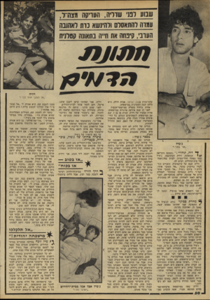 העולם הזה - גליון 2192 - 5 בספטמבר 1979 - עמוד 51 | שבוע רבני שדליה1 ,ויעריקה מצח־ ר, סמרה להתאסלם ולהינשא כרת לאהובה הערבי, ן!ינחה את ת״ה בתאונה קטלנית דליה ״אל תעזבי אותי לבד !״ עלת־נקיון בבנק ישראל. אביה