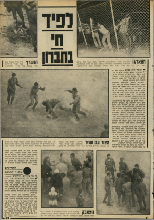 העולם הזה - גליון 2194 - 19 בספטמבר 1979 - עמוד 53 | עורך־הדין תושב קר יית־ארבע, אלייקים העצני, אשר עמד בראש וי • י ו ההתנחלות הראוותנית שהסתיימה באסון, נותן את האות להתנחלות, כאשר במו ידיו הוא מפיל לארץ קטע