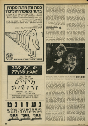 העולם הזה - גליון 2194 - 19 בספטמבר 1979 - עמוד 77 | ככה?״ והיא היתד! משיבה לי :״כן, ראית את החמור הזה? ככה הוא פונה אלי.״ פרנק שלח אותי לשבוע לניו־יורק למלון פלאזה. לא הלכתי שם לאיבוד. היו לי המון ידידים וחברים