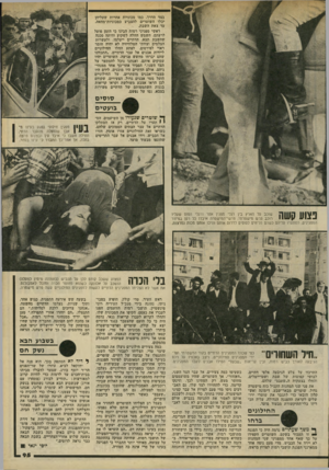 העולם הזה - גליון 2194 - 19 בספטמבר 1979 - עמוד 95 | בצד הדרך, כמו מכוניות אחרות שעליהן יכלו השוטרים להצביע כמכוניות־מחאה, עד צאת השבת. ראשי מפגיני רמות הבינו כי הזמן פועל לרעתם. השמש החלה לשקוע והיתר. סכנה שהשבת