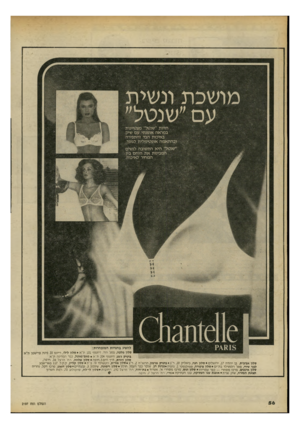 העולם הזה - גליון 2197 - 10 באוקטובר 1979 - עמוד 56 | חזיות ״שנטל״ מצטיינות במראה אופנתי עם שיק באיכות הבד והתפירה ובהתאמה אופטימלית לגופן־. ״שנטל״ היא התשובה לנשים המבינות את היחס בין המחיר לאיכות. ?^818 להשיג