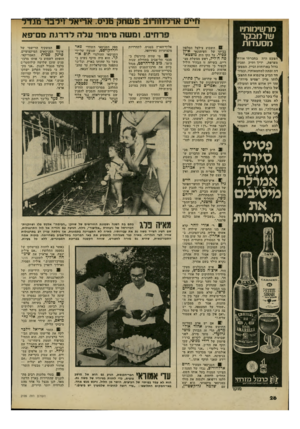 העולם הזה - גליון 2199 - 24 באוקטובר 1979 - עמוד 26 | מרשימותיו שרמבקר מסעדות הפעם היה בחברתי או ר ח! מצרפת, ידיך ותיק ומבין | גדול בארוחות וביין. המסעדה זכתה למחמאותיו, ובמיוחד הביע פרגסוא את התפע־ | לו תו מיין