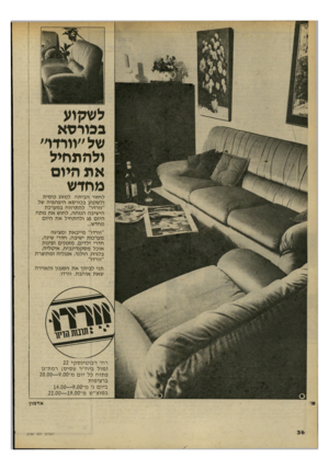 העולם הזה - גליון 2199 - 24 באוקטובר 1979 - עמוד 36 | לשקוע בכורשא של ״וורדי׳ ולהתחיל את היום מחדש לחזור הביתה למזוג כוסית ולשקוע בכורסא היפהפיה של ״וורדו״ .להתרווח במערכת הישיבה הנוחה, לחוש את מתח היום פג ולהתחיל