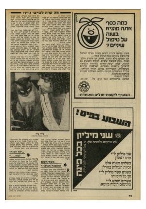 העולם הזה - גליון 2199 - 24 באוקטובר 1979 - עמוד 74 | מה קרה לבייבי ג ׳*ין* (המשך מעמוד )73 נסתו עבד כמלצר במיסעדה של רפי שאולי ושם, בשבתות ובחגים הוצגו לראווה בו- בותיו המיסתוריות. אנשים אמרו לו ש בעצם חבל לבזבז