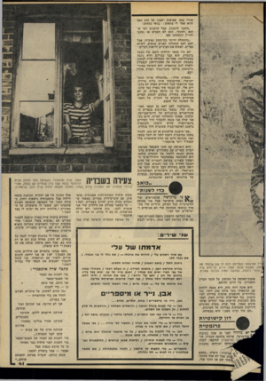 העולם הזה - גליון 2201 - 7 בנובמבר 1979 - עמוד 41 | אחרי כמה שבועות ישבנו על כוס קפה והוא אמר לי פתאום, :בואי נתחתן.׳ ״הלכנו לרבנות. אבל הרבנים רצו ש הוא, יחתוך. הוא לא הסכים אז נסענו לחו״ל והתחתנו שם. ״בהתחלה