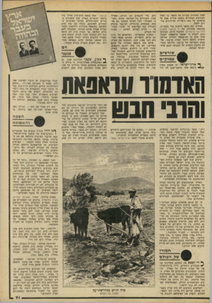 העולם הזה - גליון 2202 - 14 בנובמבר 1979 - עמוד 71 | לאור מהדורה עברית של הספר. כך העלו העותקים הבודדים בשפת אידיש אבק על מדפיהם של כמה סיפריות וארכיונים סגו רים לקהל• . החודש זכה הספר לראות אור בעברית, בהוצאה