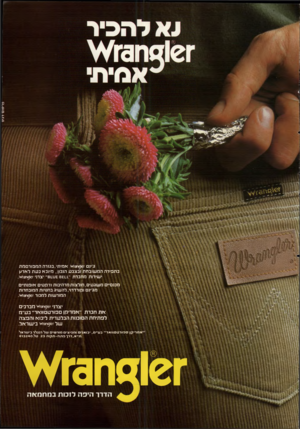 העולם הזה - גליון 2206 - 12 בדצמבר 1979 - עמוד 41 | גיינם ז€י5ח3ז/י<י אמיתי,בגזרה המפורסמת בתפירה המשובחת ובצבע הנכון, מיובא כעת לארגן ישירות מחברת ״_ו_1ש£ 8ע.ו6׳ יצרני ז312ח3ז^י. מכנם״ם משגעים,חולצות מרהיבות