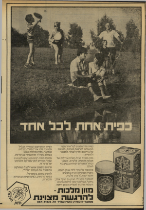 העולם הזה - גליון 2210 - 9 בינואר 1980 - עמוד 34 | כפית מזון מלכות לכל אחד מבני המשפחה להרגשה מצוינת, הרגשה של בריאות ומרץ לצעיר, למבוגר ולקשיש. מזון מלכות מכיל כמויות גדולות של חומצה זרחנית, קלציום, אשלגן