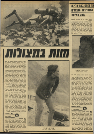 העולם הזה - גליון 2210 - 9 בינואר 1980 - עמוד 65 | את מותם בעת ציירה המועחוים ז שנגוים לחות בטיחות ניספו בספורט זה 30 צוללים, מרביתם תיירים. דויד גולדווסר בן ה־ ,39 תושב בת־ים, צלל בחודש מאי 1975 סמוך לבריכת-