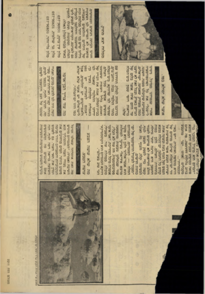 העולם הזה - גליון 2211 - 16 בינואר 1980 - עמוד 10 | ?ים־המלח ארבעפע ^ 0מ ! ^ ״הברום הוא מינרל המוכר ברפואה במרגיע עצבים והוא נמצא ברוב גלולות ההרגעה. פה אתם מקבלים אותו ישר מהטבע ובכמויות״.״ והיא מוסיפה ואומרת