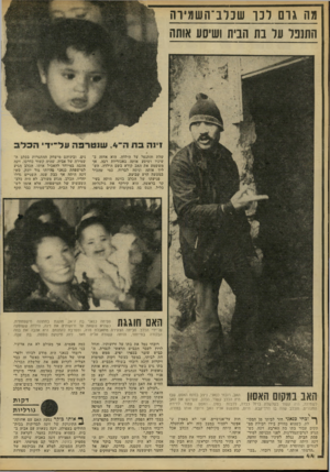 העולם הזה - גליון 2215 - 13 בפברואר 1980 - עמוד 44 | מה גום לכו שכלב־השמיוה התוכל על בת הבית ושיסע אותה שלת והתנפל על הילדה. הוא אחזה ב שיניו ושיסע אותה באכזריות רבה, אך מששמע את האב קורא בשם הילדה, הש ליך אותה