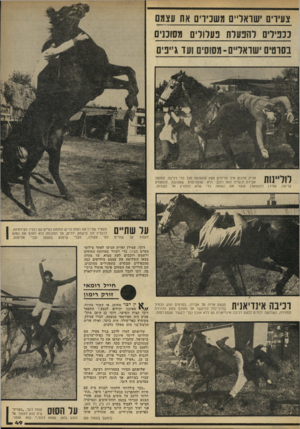 העולם הזה - גליון 2215 - 13 בפברואר 1980 - עמוד 49 | צעירים שואריים משנידים את עצמם נננידים והבערת 3עדודים מסוננים בסרטים ישראליים-מסוסים ועד ג״פים לוליינות קדימה. עמירן אריה מדגים איך מרימים חפץ מהאדמה תוך כדי