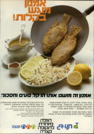 העולם הזה - גליון 2216 - 20 בפברואר 1980 - עמוד 2 | אמנון1ה מושט. אותו ד\ קל טעי וחסכוני. ממש בקלות, תוכלי להכין דג טעים ומשביע-אמנון קל להכין ...קל לחסוך ...קל לאכול ...עם הרבה בשר דל שומן ועשיר בחלבונים (מומלץ