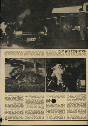 העולם הזה - גליון 2218 - 5 במרץ 1980 - עמוד 49 | הכלבה קובצה בזמן הניבוי 5־ ^ המכונית, כשהאש כבר פשסה בה, הותז סילון המים הראשון על־ידי הכבאים שהוזעקו למקום. בתמונה רואים מימין את הכבאי מכוון את סילון המים אל